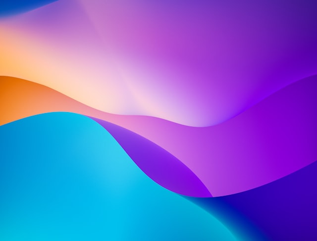 SaaS products and custom software